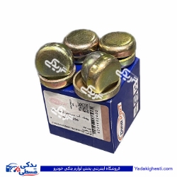 پولک اب پژو 206 تیپ 5 فلزی دیناپارت  1602403