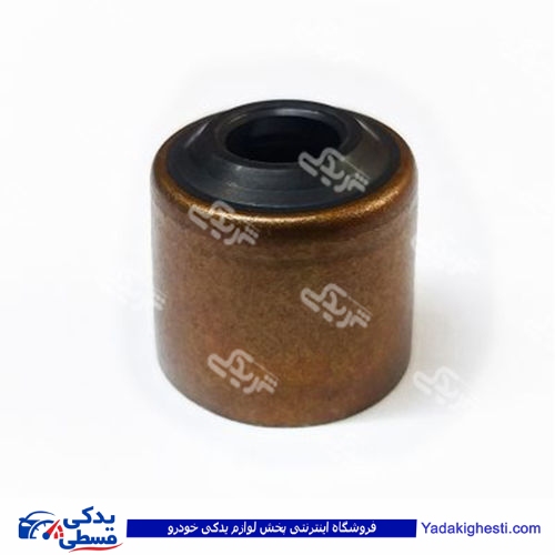 پراید لاستیک سوپاپ طرح هیوندایی 9000403032 cbs